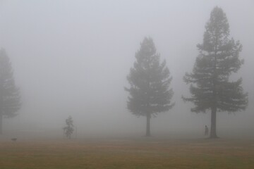 A cloudy morning at the golf course