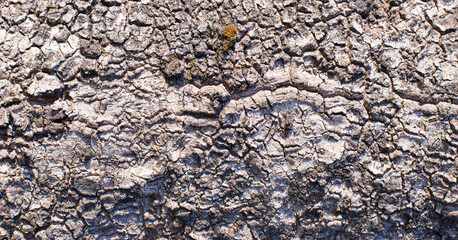 The texture of the wood is naturally old.