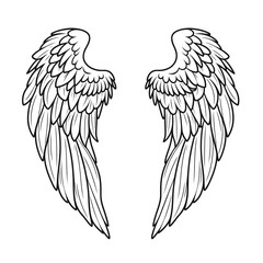 Vector outline wings on white background