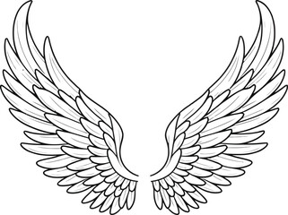 Vector outline wings on white background