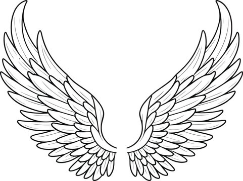 Vector outline wings on white background