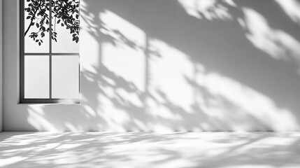 Clean background with light grey and white tones.
Shadows of Windows and Tree Branches on Empty  Shadow Copy Space, llustration for cover, card, postcard, interior design, banner, poster, brochure 