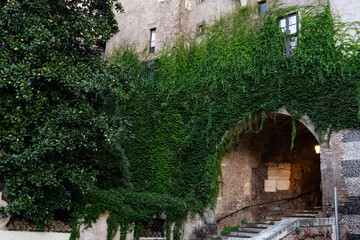 Fototapeta premium View the stone arch pathways with green vine in the hills.