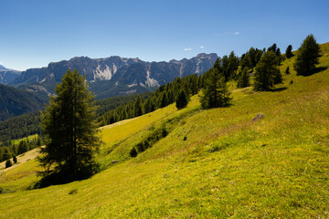 Breathtaking scenery featuring rocky mountain peaks framed by greenery of sprawling alpine meadow and verdant woodlands on sunny summer day. Enchanting nature of Dolomites, Italy