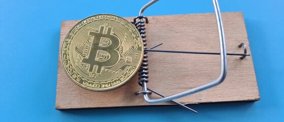 Mousetrap and bitcoin coin. Cryptocurrency scam or fraud concept.