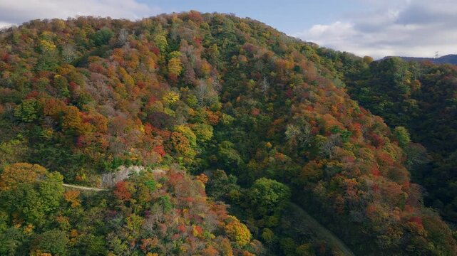 秋の獅子吼高原 - ドローンで捉えた紅葉の絶景

石川県の獅子吼高原を舞台に、秋の風景を4Kドローン映像で捉えました。広がる紅葉の絨毯と高原からの壮大な景色が特徴的で、自然の美しさが際立つ映像です。雄大な山々と秋の色彩が織りなす絶景を、空からの視点で楽しめます。観光プロモーションや自然をテーマにした映像作品に最適なクオリティです。