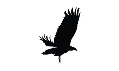 Vulture Bird Silhouette Design  And Vector Illustration. 