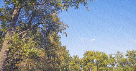 Tree with leaves is in the foreground of a blue sky