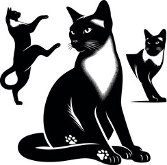 Siamese Cat Silhouette - Black Vector Cricut Design for T-Shirt Printing