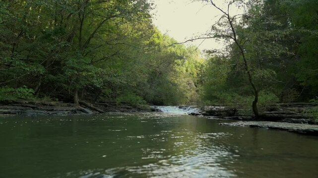 calm stream surrounded by dense green trees, reflecting serene beauty of Cummins Falls State Park, Tennessee, USA, during sunny day Cummins Falls State Park calm stream