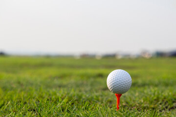 golf ball on tee in a beautiful golf course with morning sunshine.