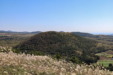 Naklejka premium 산 정상에서 바라보는 자연 풍경, 제주 제주시 한림읍 금악리 정물오름