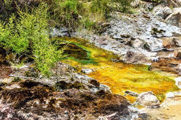 Close-up of the earth surface, Waimangu Volcanic Valley, Rotorua, North Island, New Zealand, Oceania.