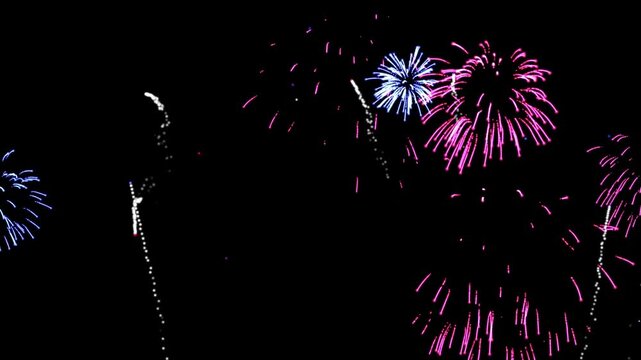 Colorful fireworks  celebration festival on black background.