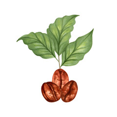 Coffee bean with sprouted coffee leaves. Watercolor and marker illustration. International Coffee Day. Aroma of Robusta and Arabica varieties. Hand drawn isolated art. Harvesting, beverage production