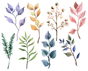 set of watercolor branches on white background