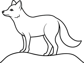 arctic fox standing on bridge during moult