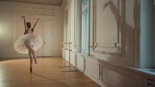 Young ballerina in tutu rehearsing alone in dance class, classical choreography. Talented female dancers performing ballet movements and positions gracefully, hobby and professional occupation, prima