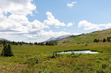 Obraz premium Lush green mountain meadow with a small pond under a blue sky