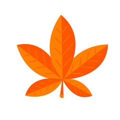 Autumn maple leaf illustration.