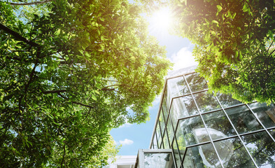 Modern glass office building with big trees around to reduce heat and carbon dioxide. Eco-friendly...