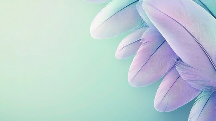 A collection of pastel lavender feathers arranged softly on a gradient mint green background, with fine details illuminated, leaving room for text.