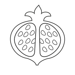 Simple outline vector image of pomegranate. Icon, outline drawing, flat style of cut pomegranate