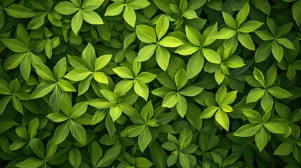 Vibrant green macro plant background creates a stunning natural abstract botanic theme, ideal for adding a fresh touch. Ample copy space enhances the visual impact of the green plant theme.