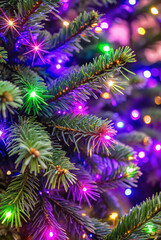Christmas tree branches with vibrant glowing lights