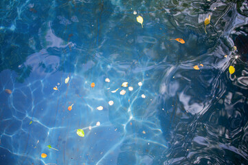 Dark blue water. Cold water on the background of the surface of the waves and dry leaves.