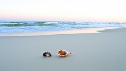 Obraz premium Serene Beach Sunset with Seashells: Capture the Tranquil Beauty of the Shoreline