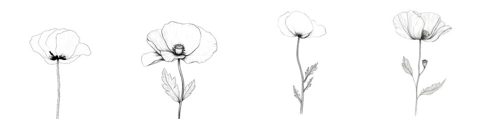 Fototapeta premium Elegant Monochrome Floral Silhouette Sketches in Black and White Depicting the Beautiful Simplicity of Nature s Botanical Designs