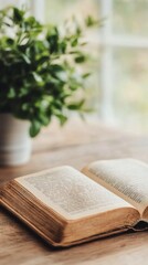 Old open book resting on a wooden surface with soft lighting and natural textures