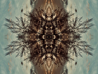 A symmetrical, kaleidoscopic image of a tree silhouetted against a cloudy sky. 