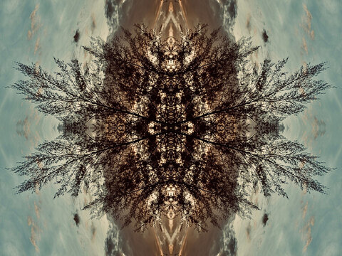 A symmetrical, kaleidoscopic image of a tree silhouetted against a cloudy sky. 