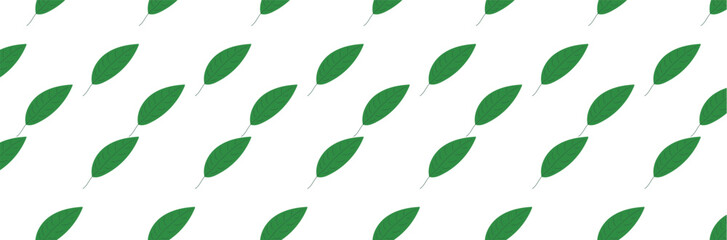 Fototapeta premium leaf green pattern on transparent background,