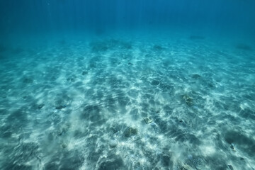 underwater photo blue background panorama ocean surface and bottom of the sea