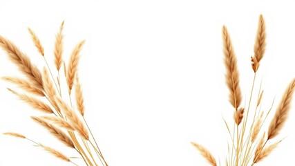 Autumn-themed wedding invitation template with brown and golden branches, leaves, pampas grass, and boho vector elements, dry grass, template