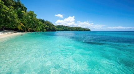 Fototapeta premium Snorkeling Fun in Tranquil Turquoise Waters During a Beachside Adventure in a Tropical Paradise