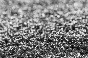 Background of steel wires twisted into spirals in the form of prisms. Spiral-prismatic nozzle. Abstract metal background.