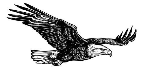 bald eagle fly engraving black and white outline