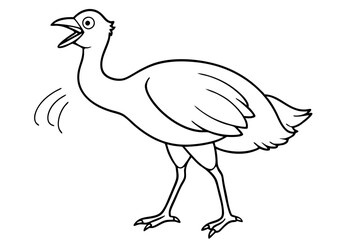 Beautiful Rhea   bird vector art illustration