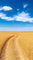 Fototapeta premium Winding Road Through a Golden Wheat Field