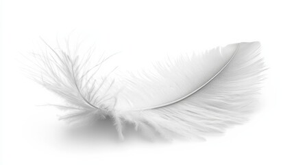 Fototapeta premium A delicate white feather rests softly against a light background, embodying purity and lightness.