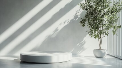 Obraz premium Minimalist White Studio Display With Plant