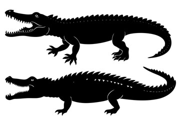 Crocodile silhouette.