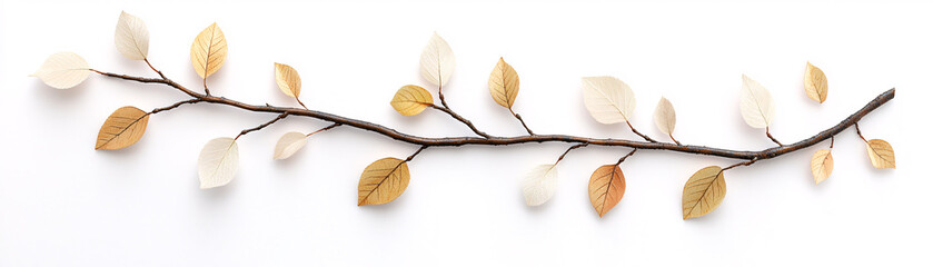 A captivating arrangement of autumn leaves on a delicate branch showcasing nature's beauty indoors. On white background