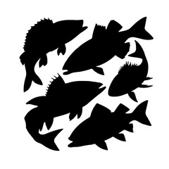 fish vector silhouette collection