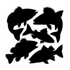 fish vector silhouette collection