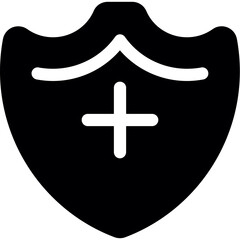 Shield Icon